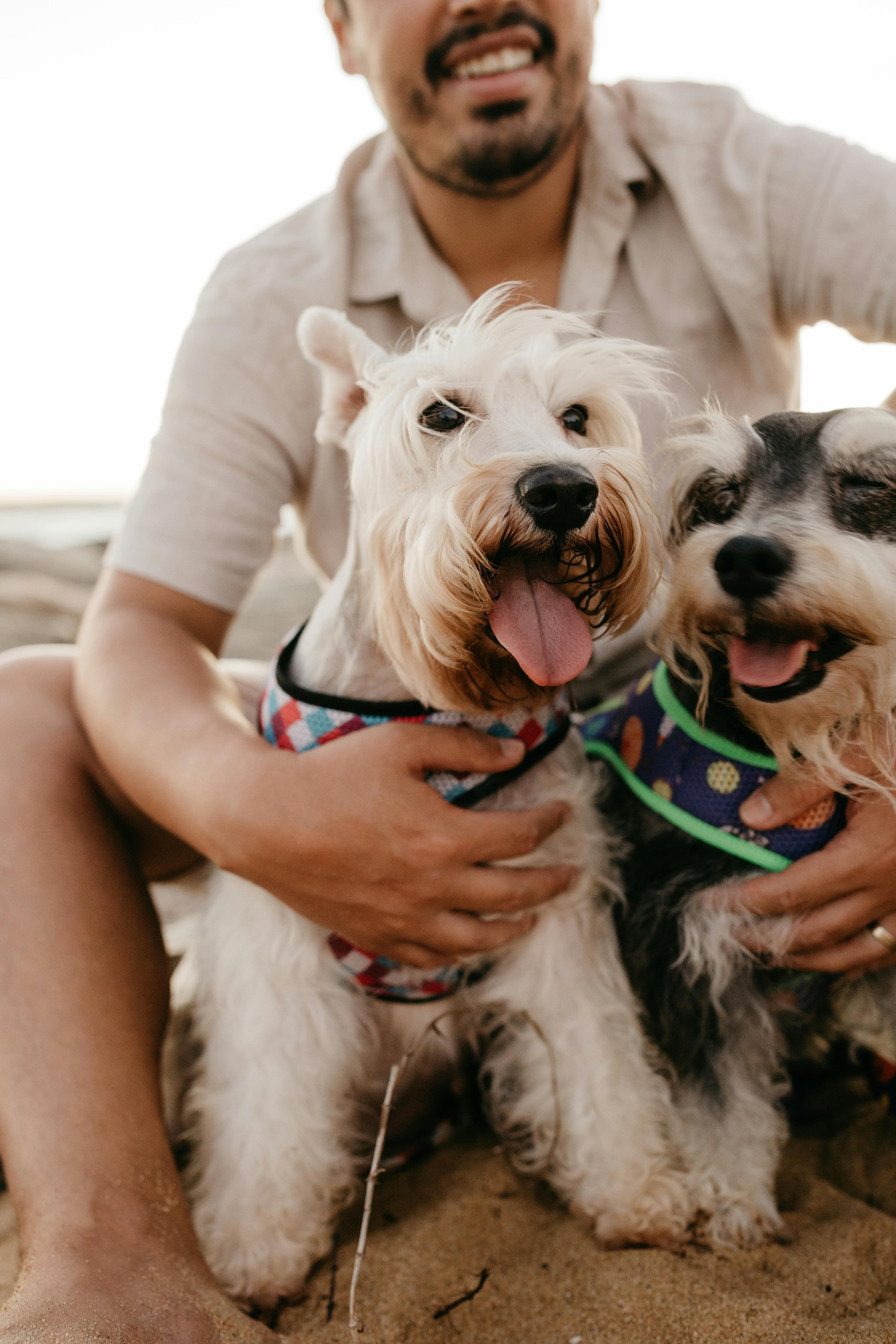 Lovet Pet Health
