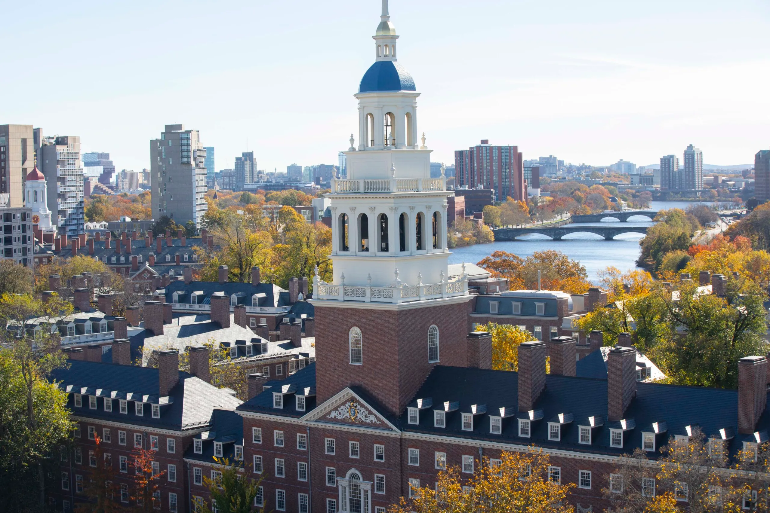 Board governance meeting led by experienced social impact strategist