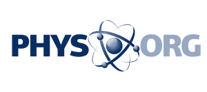 PHYS.ORG Logo