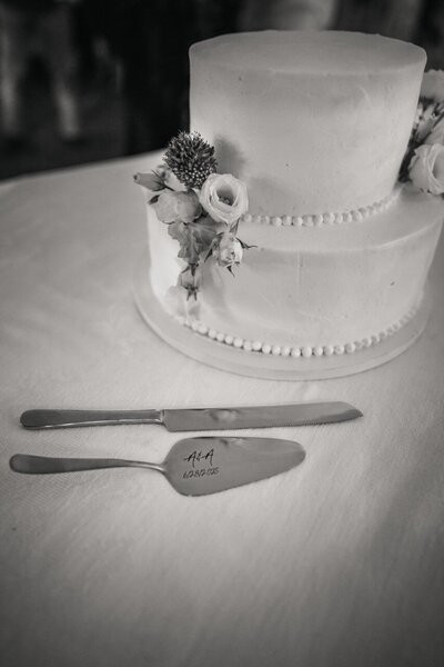 Andy and Amber Carbondale wedding photograph 10