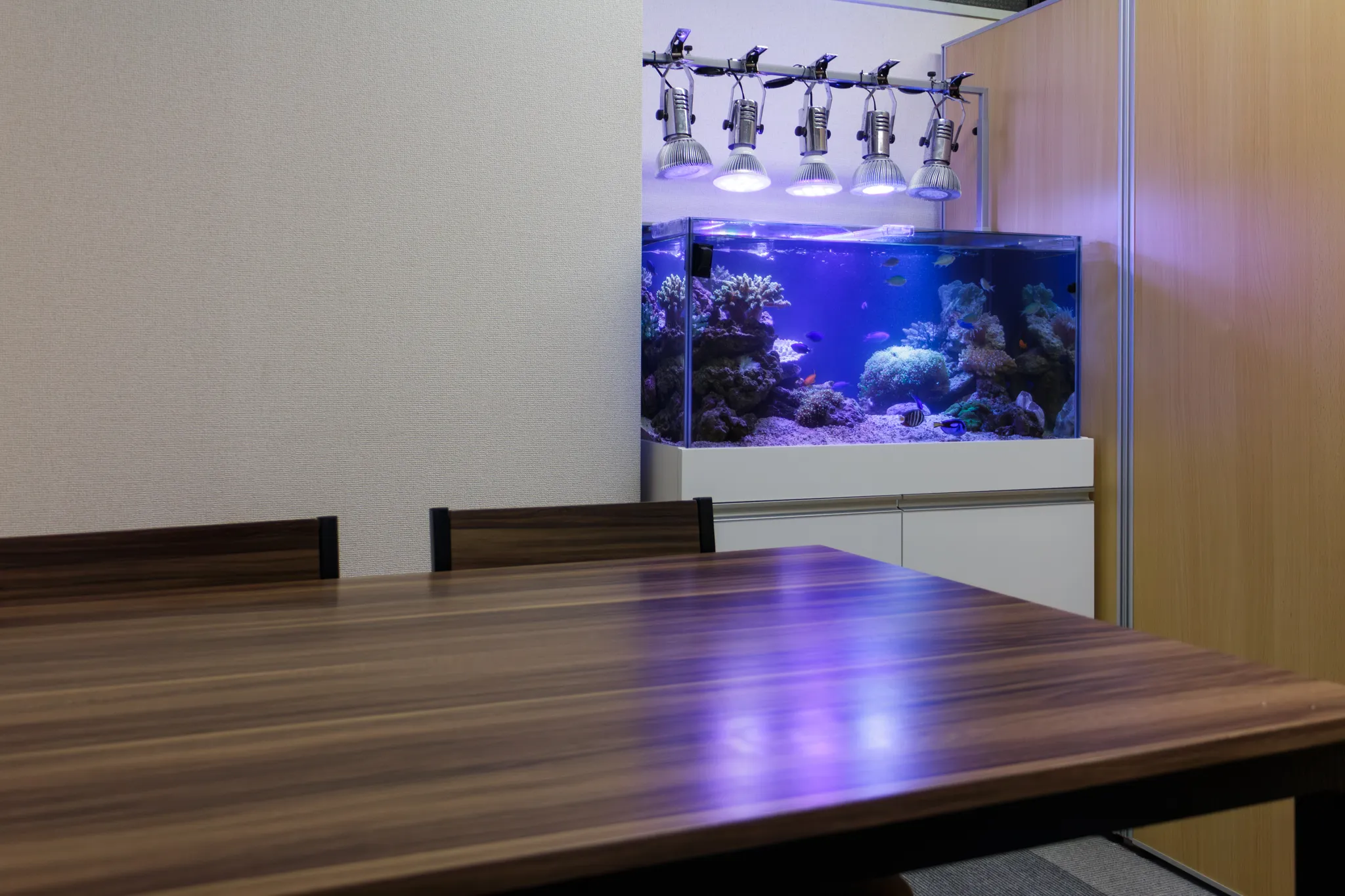 会議室のテーブル奥に設置された海水水槽が、青白い照明でサンゴ礁と魚を照らしている