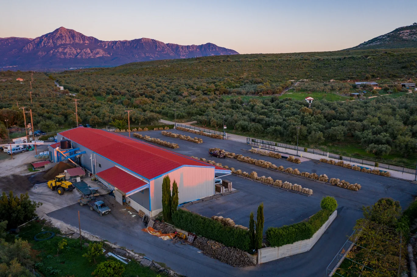 The dedicated professional team at Fountas olive oil mill in Filiatra, Messenia, during the extra virgin olive oil production process.