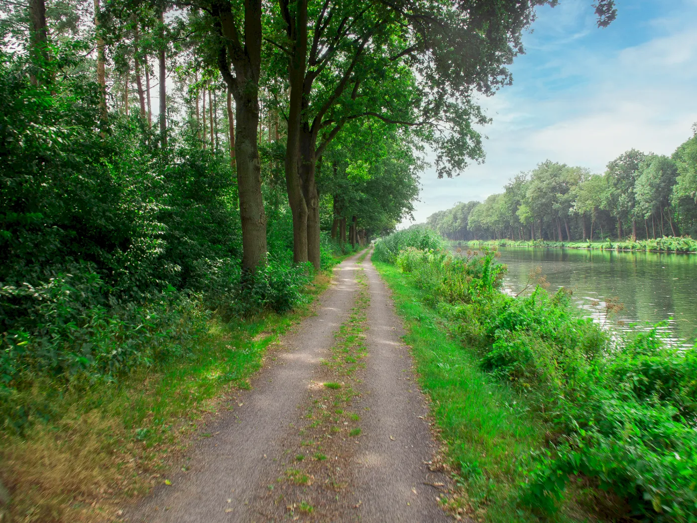 Fahrradweg in ländlicher Gegend im Emsland an der Ems.