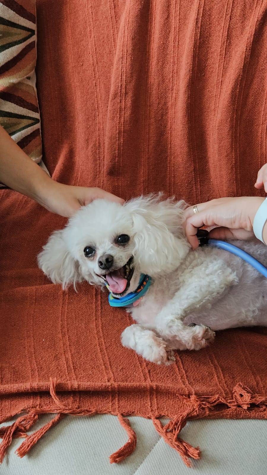 Doctor meeting doctor