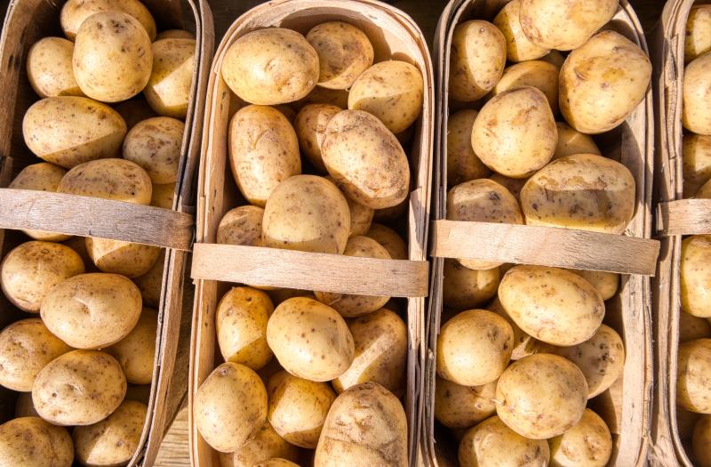 Patate