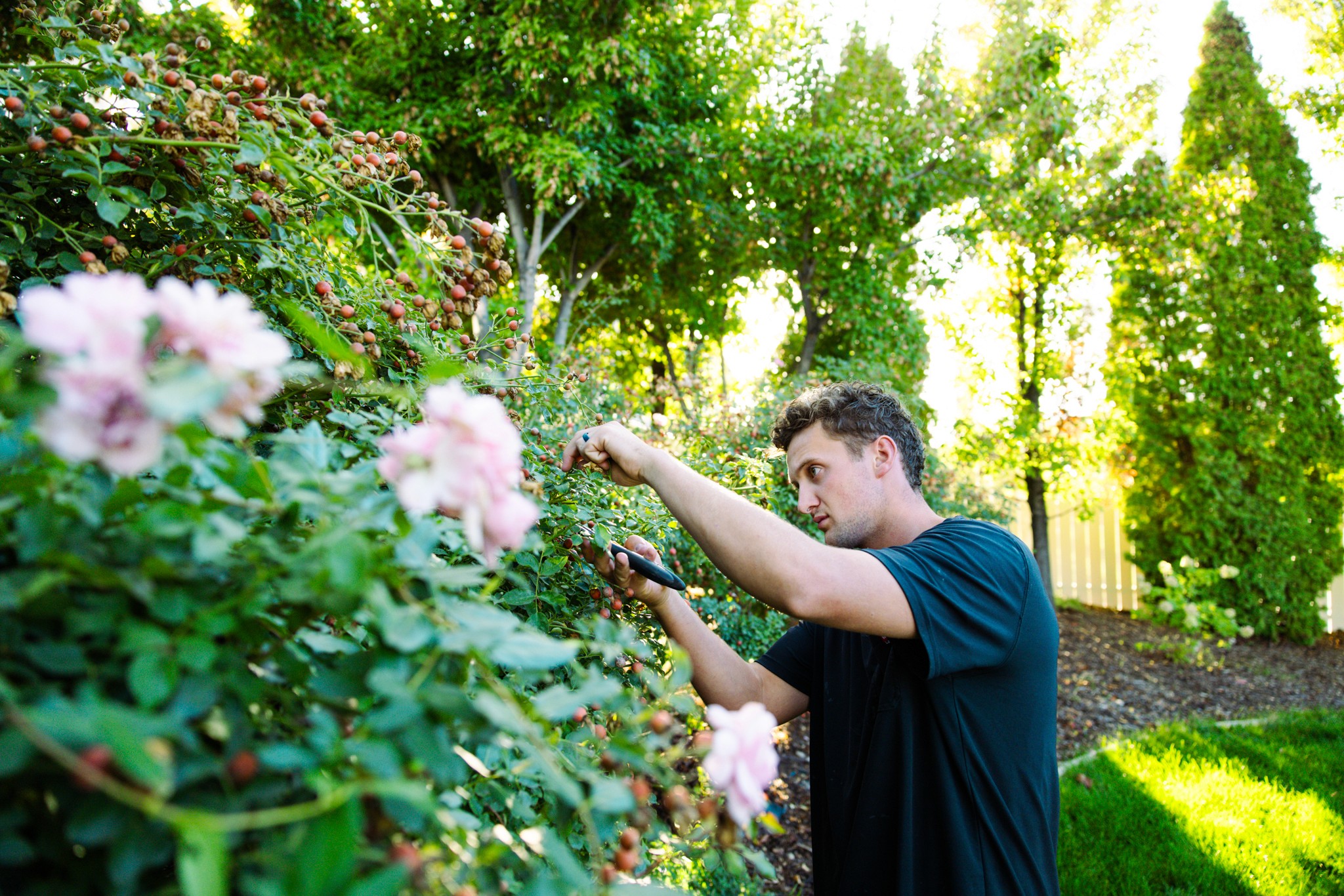 Landscaper using pole saw for tree work