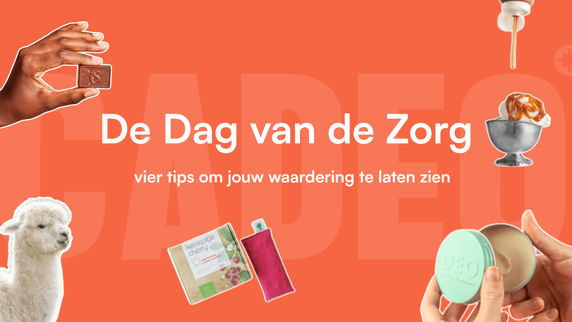 dag van de zorg