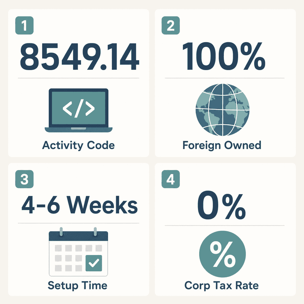 Infographic: Computer Training Business License in Dubai
