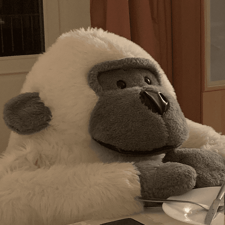 Photo de Jean-Singe, mascotte de La Jeance Team Building