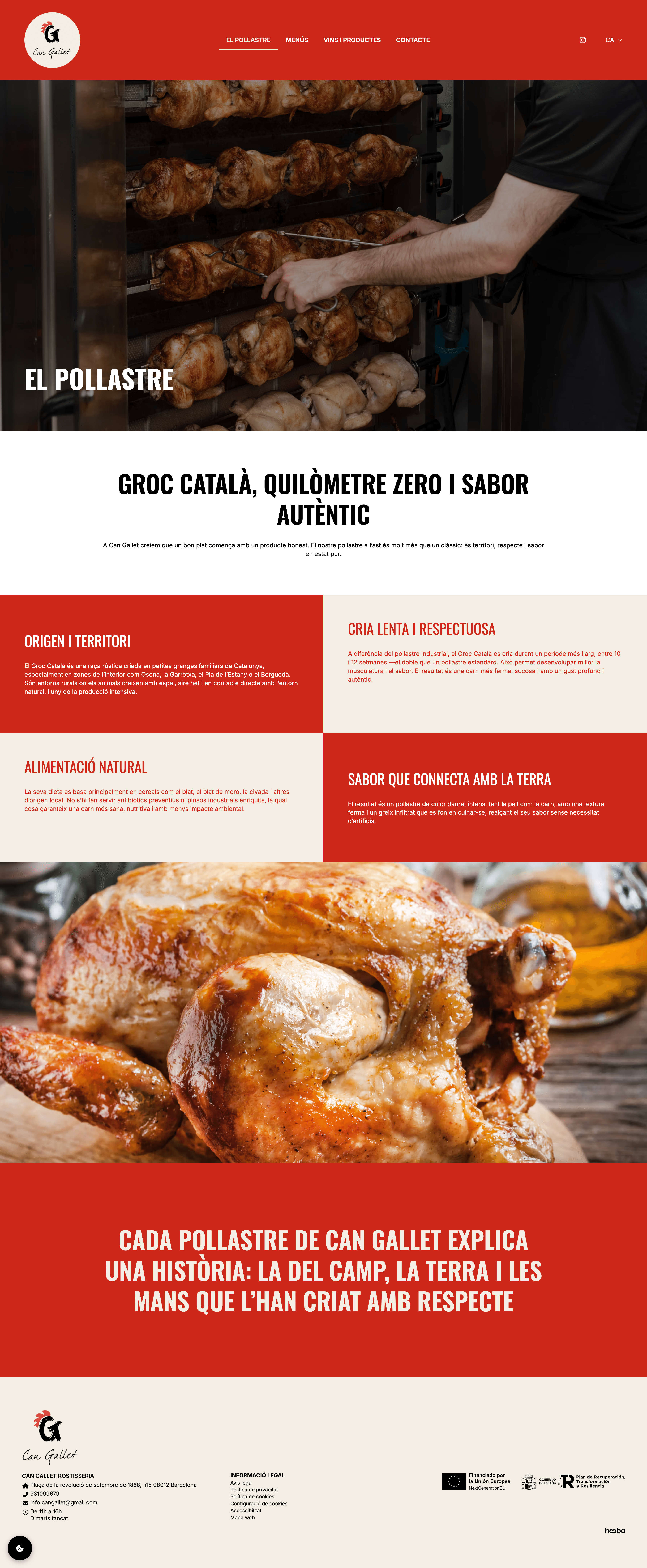 El pollo - Can Gallet