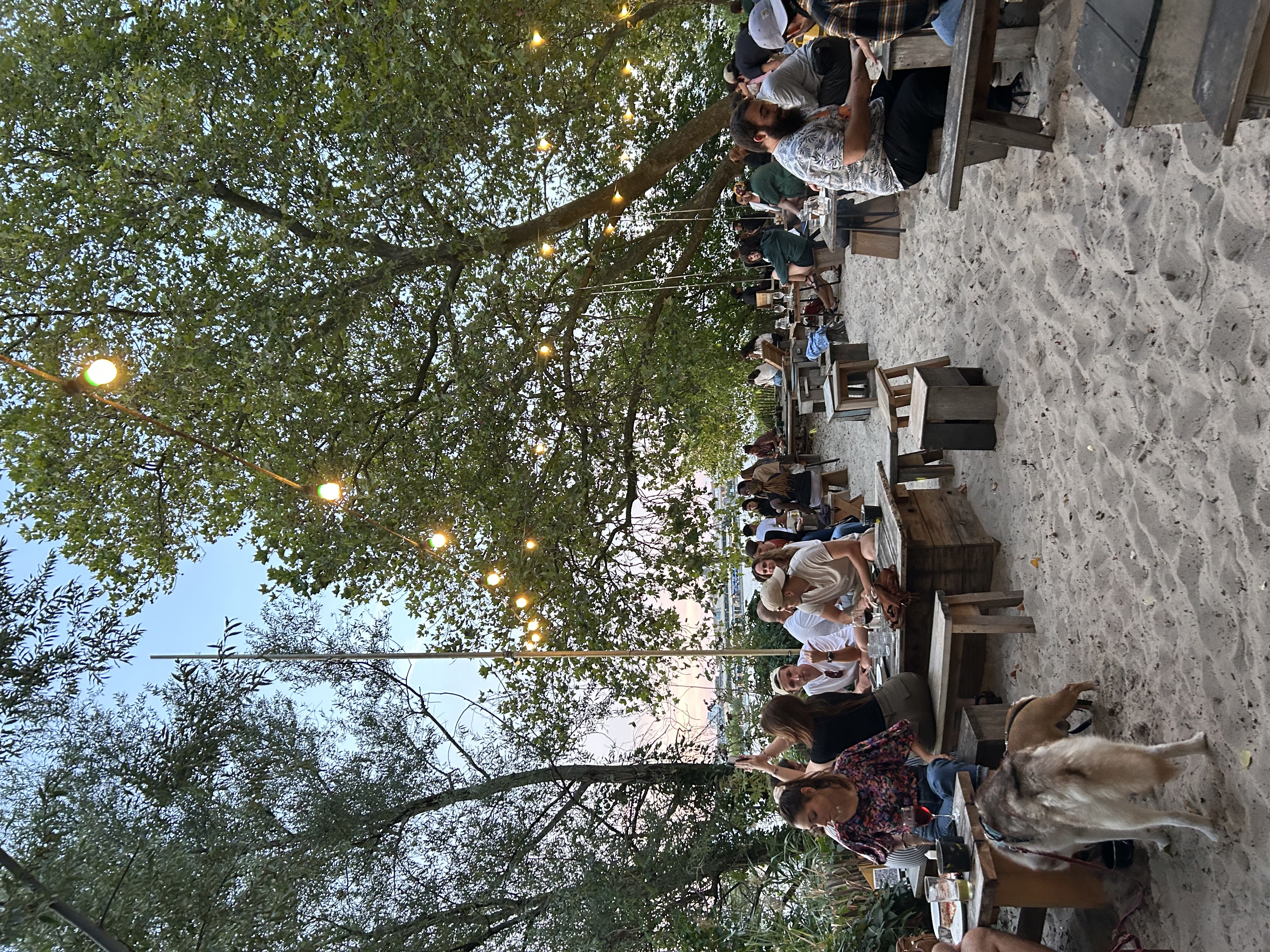 Bar in france