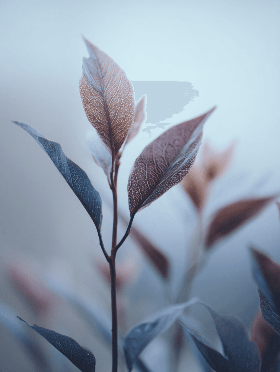 orange cattail flower