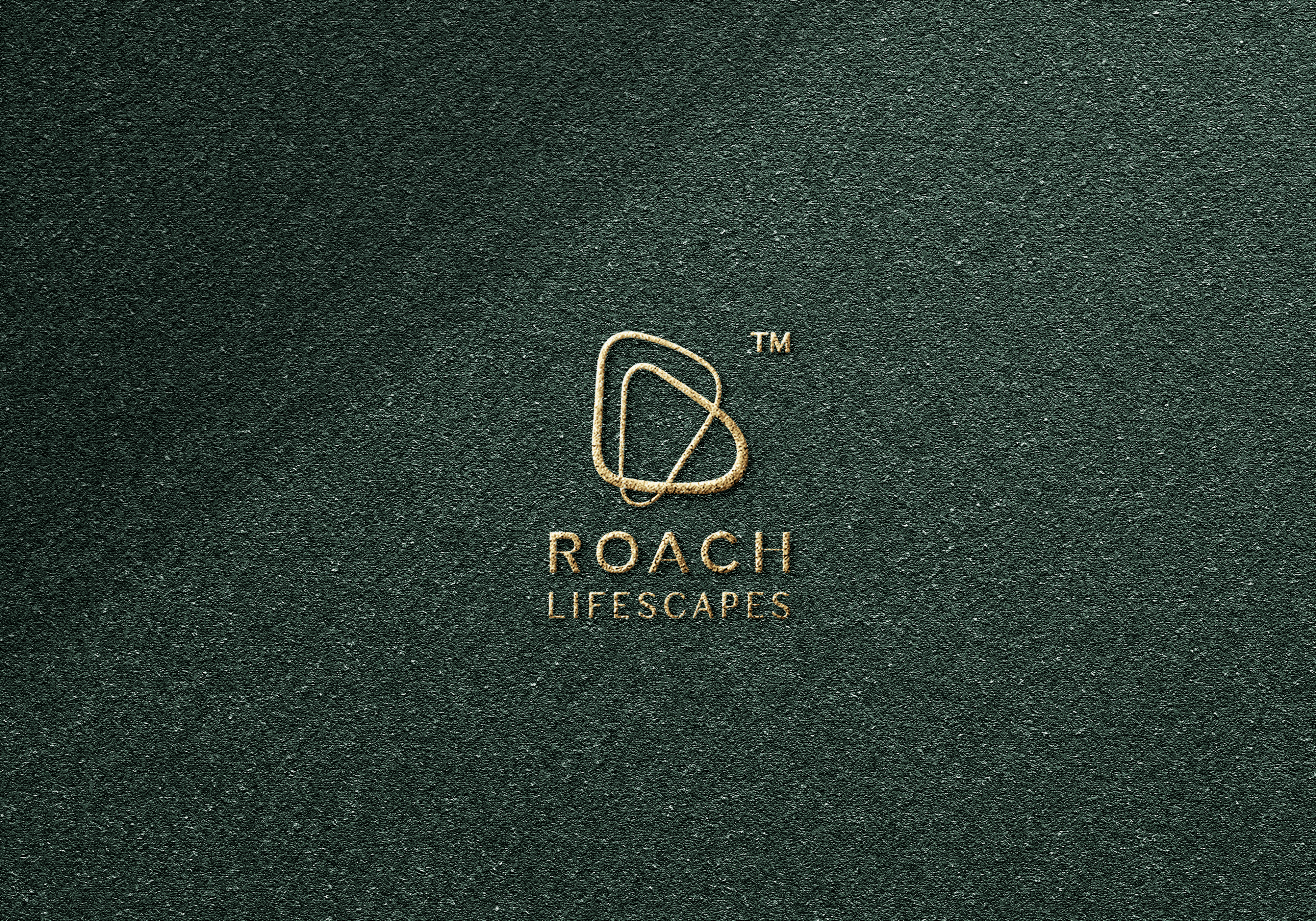 Pastel ice cream packaging design with retro typography on pink background