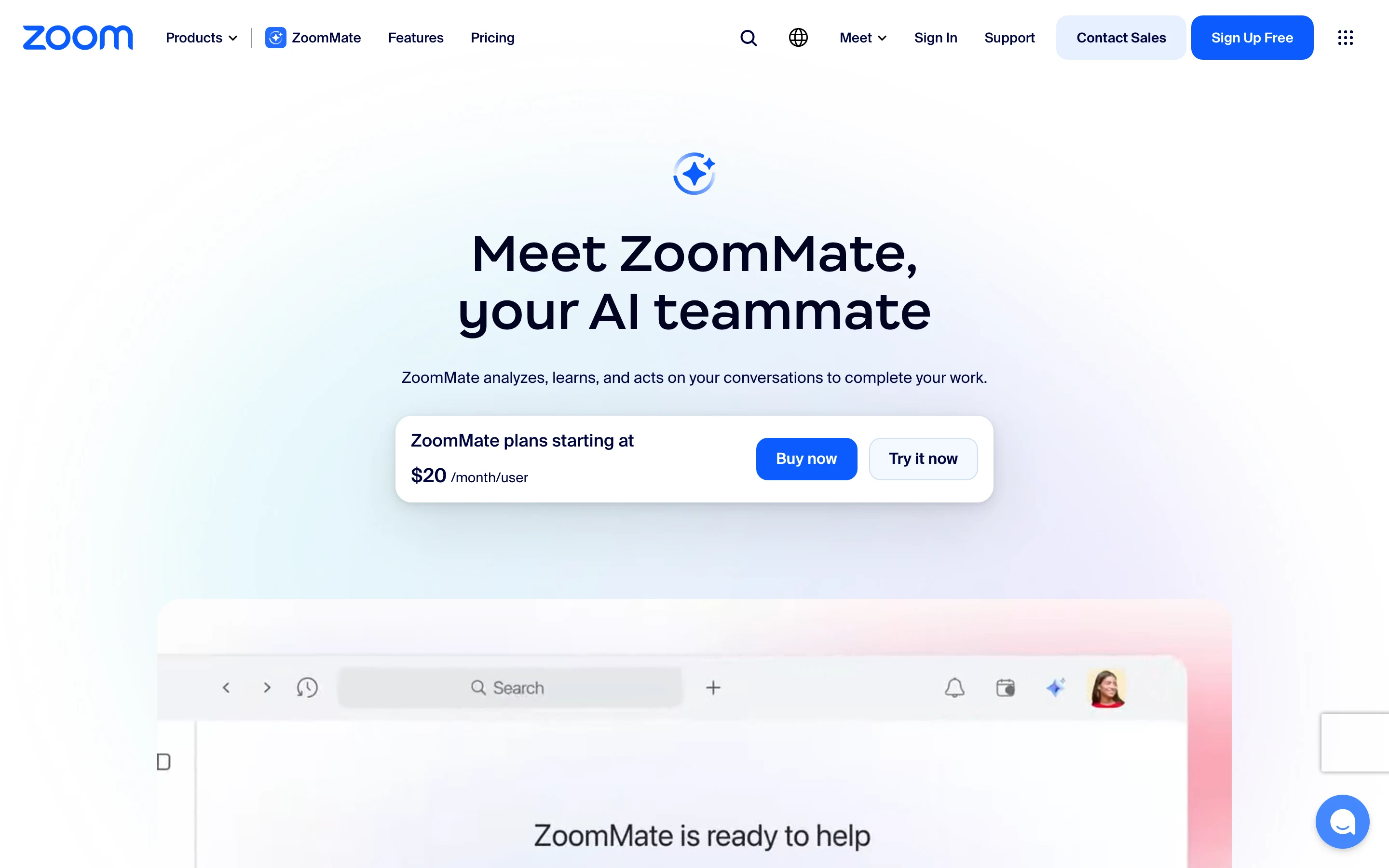 Otter Alternatives with Zoom AI