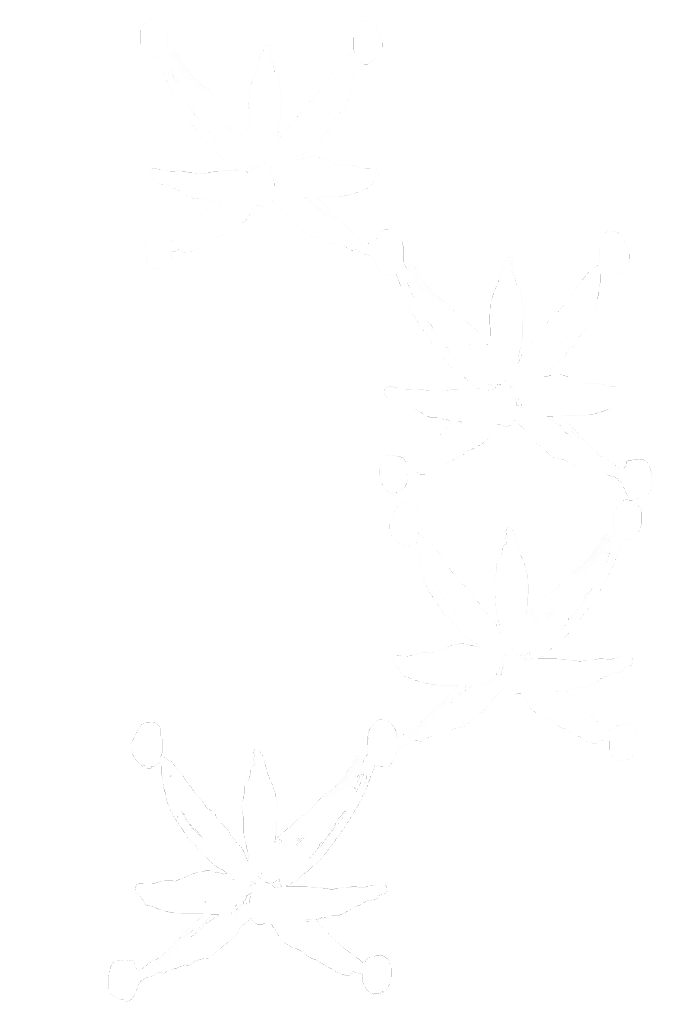 Pattern illustration of Kurio olive oil leaves and olives, hand drawn by Laura Zheng Doyon