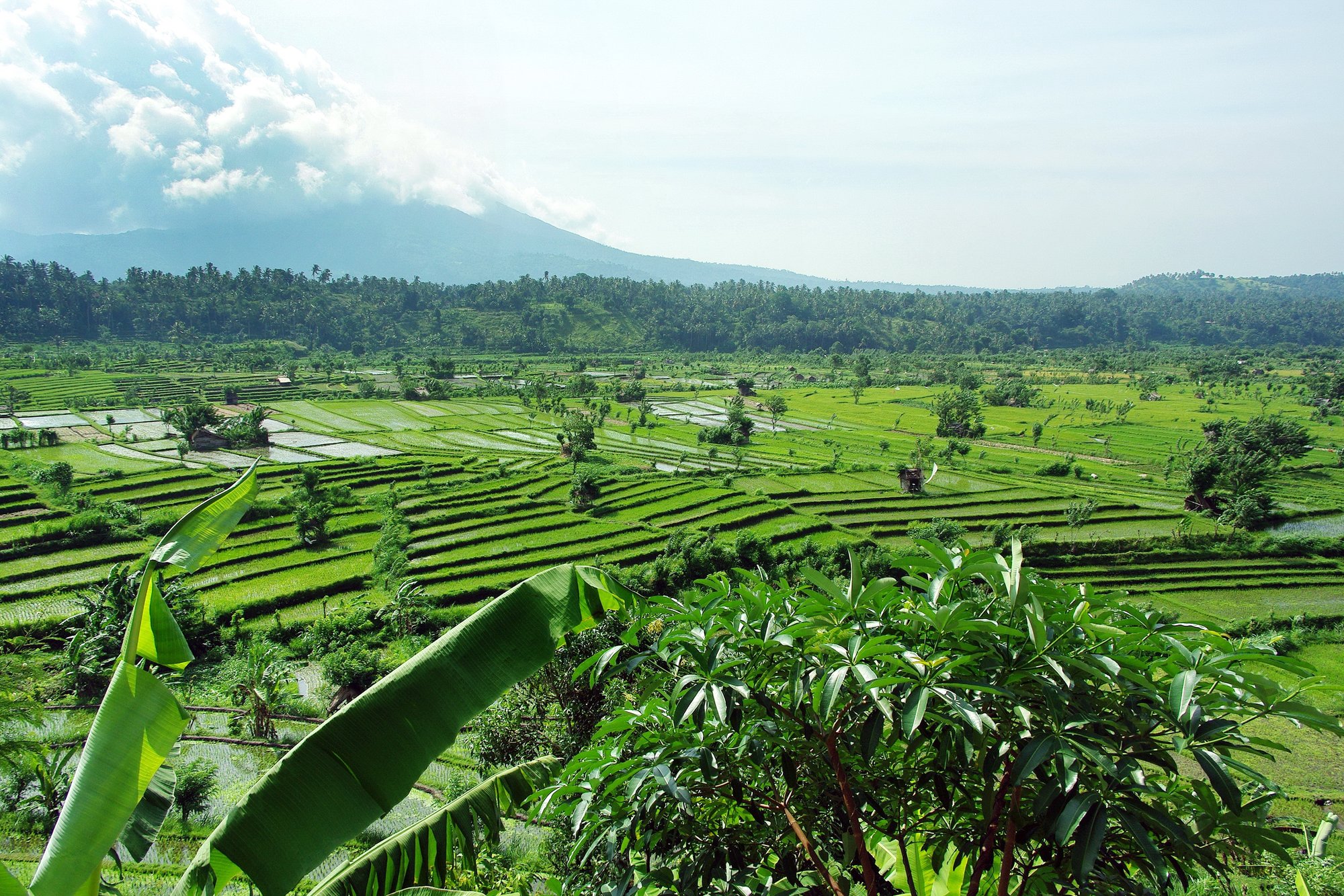 Panoramic mountain and rice field views in Gianyar. Let our agents find your dream Bali property with a view.