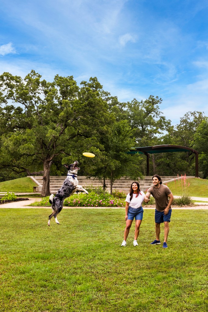 outdoor photoshoot dog in park