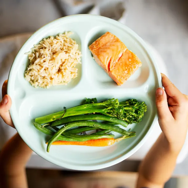 Child's Salmon Meal, balanced, nutritious and full of Omega 3