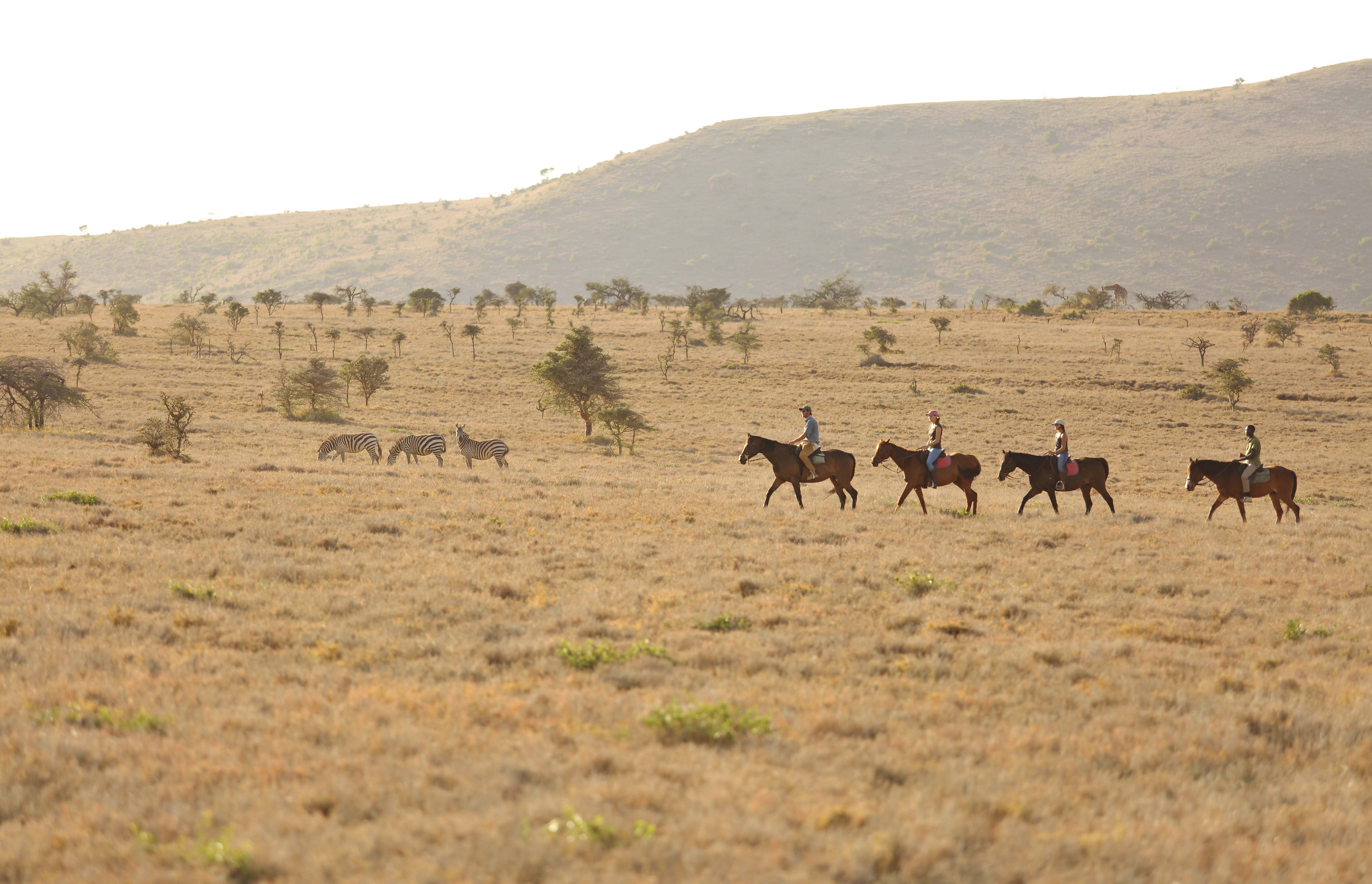 African Explorer, Botswana. En lång rad gnuer rör sig över slätterna med ryttarna i bakgrunden – ett klassiskt motiv från en ridsemester i Botswana.