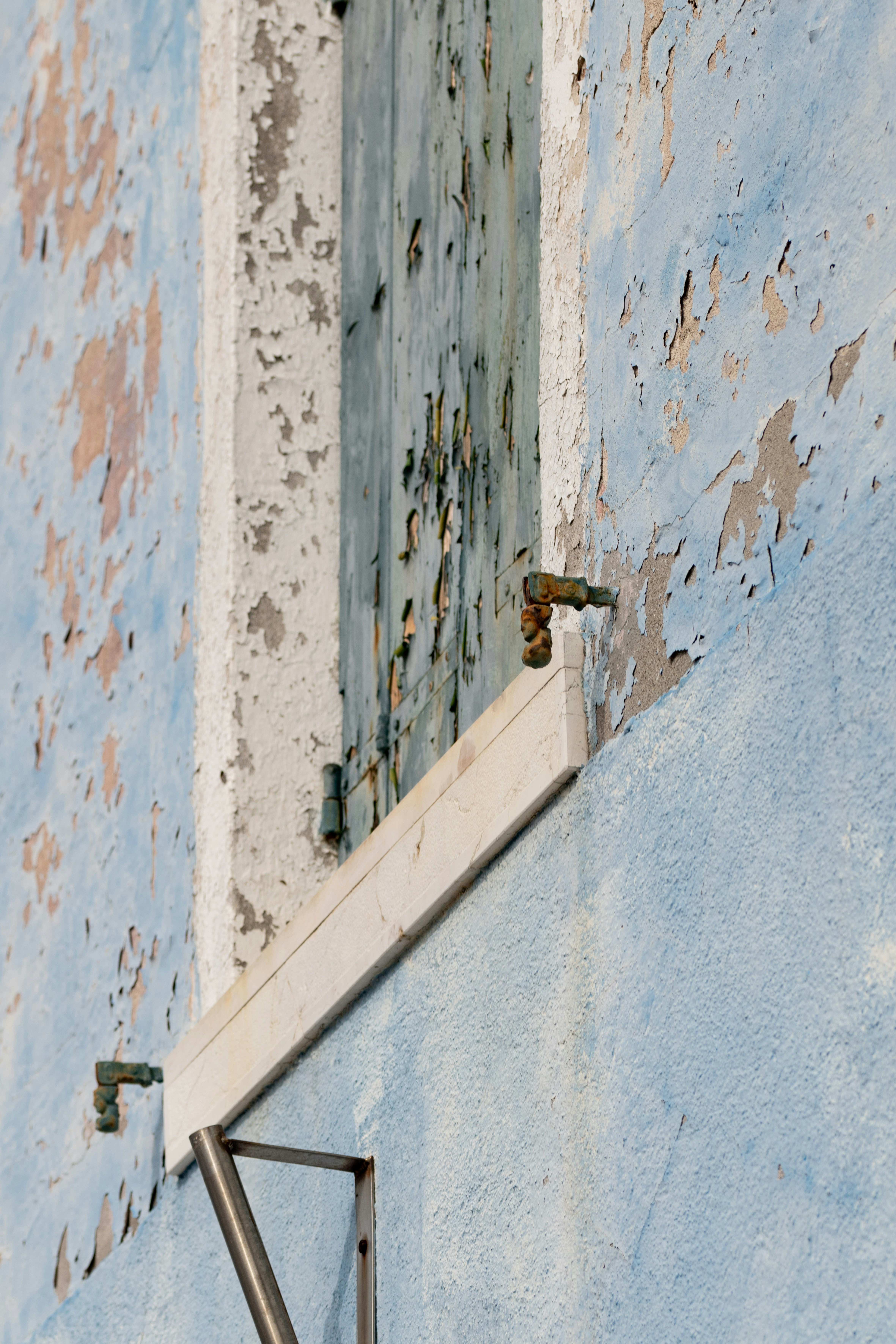 Seattle's Top Solutions for Mold: Prevention & Removal