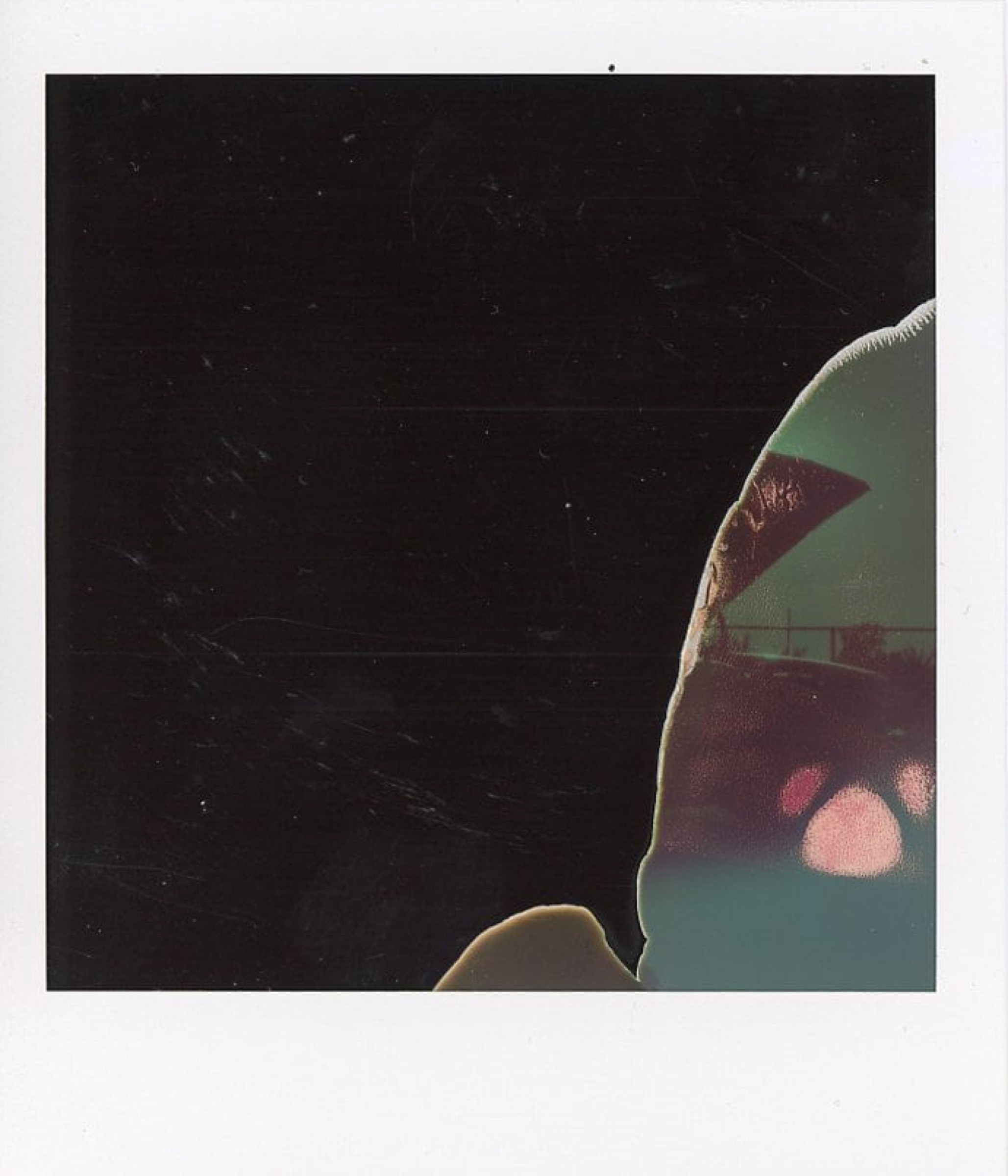 Photograph by Jacquelyne Pierson