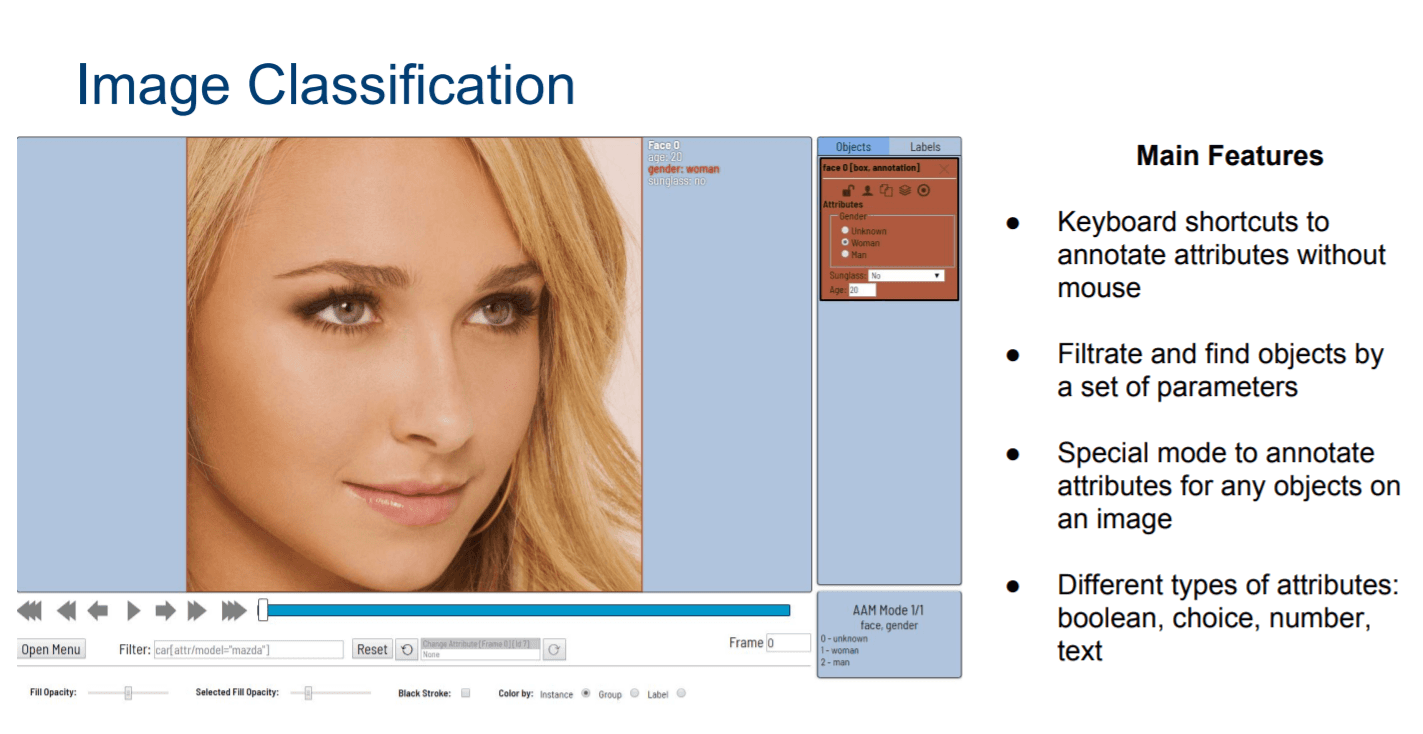 Image Classification on CVAT