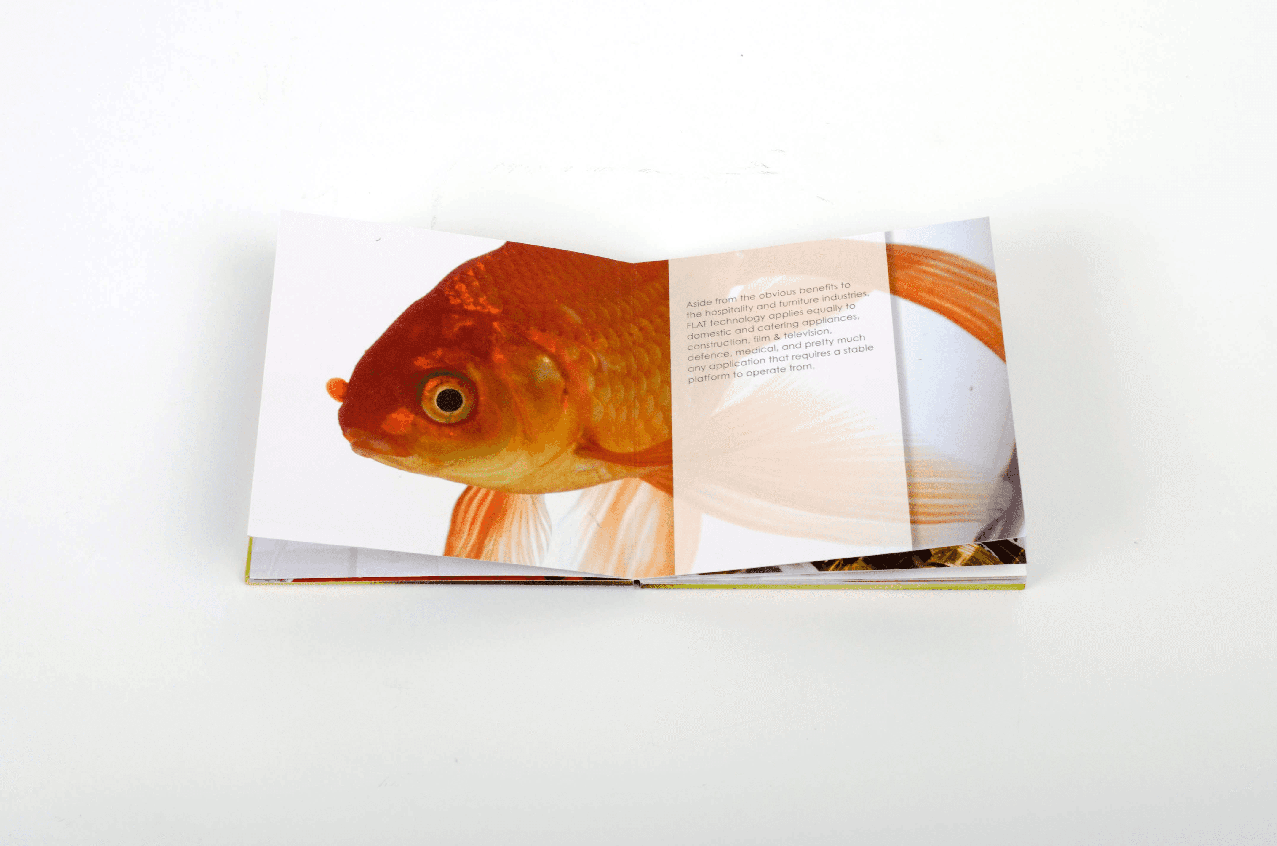 Image of book fully open on page of a gold fish