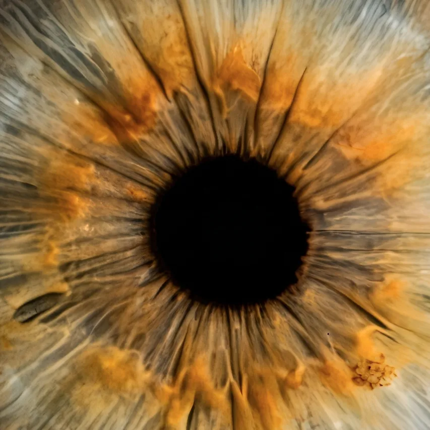 Fotografia macro di un’iride dalle tonalità miele, ambra e dorate realizzata per IRIS DAY di Ottica Dentella ad Ancona, con una visione ravvicinata delle fibre e delle sfumature che circondano la pupilla. IRIS DAY valorizza la struttura e i colori naturali dell’iride attraverso una fotografia artistica ad alta definizione, creando un’immagine personale che racconta in modo originale l’unicità dello sguardo.