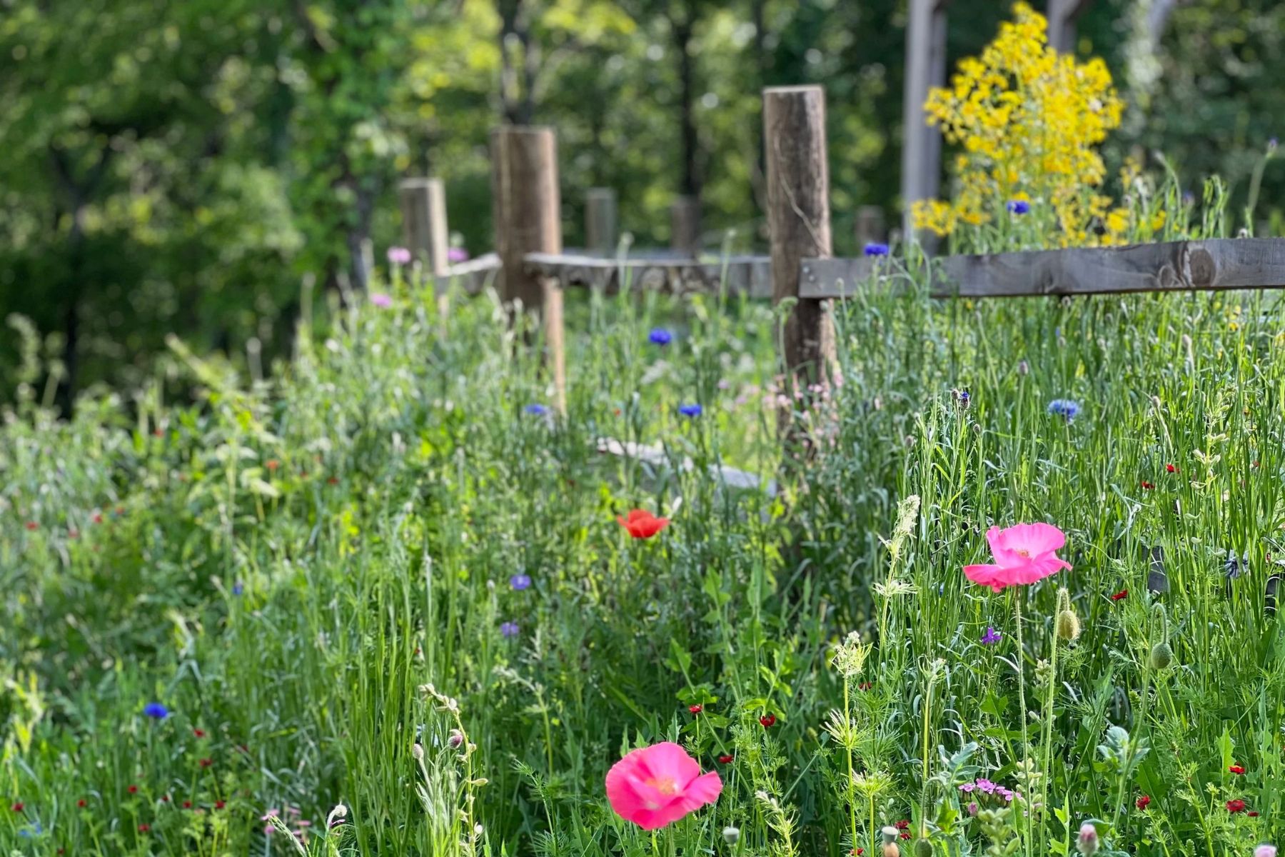 Healing Your Terrains Retreat: A Space to Reconnect, Reflect, and Rebuild Health