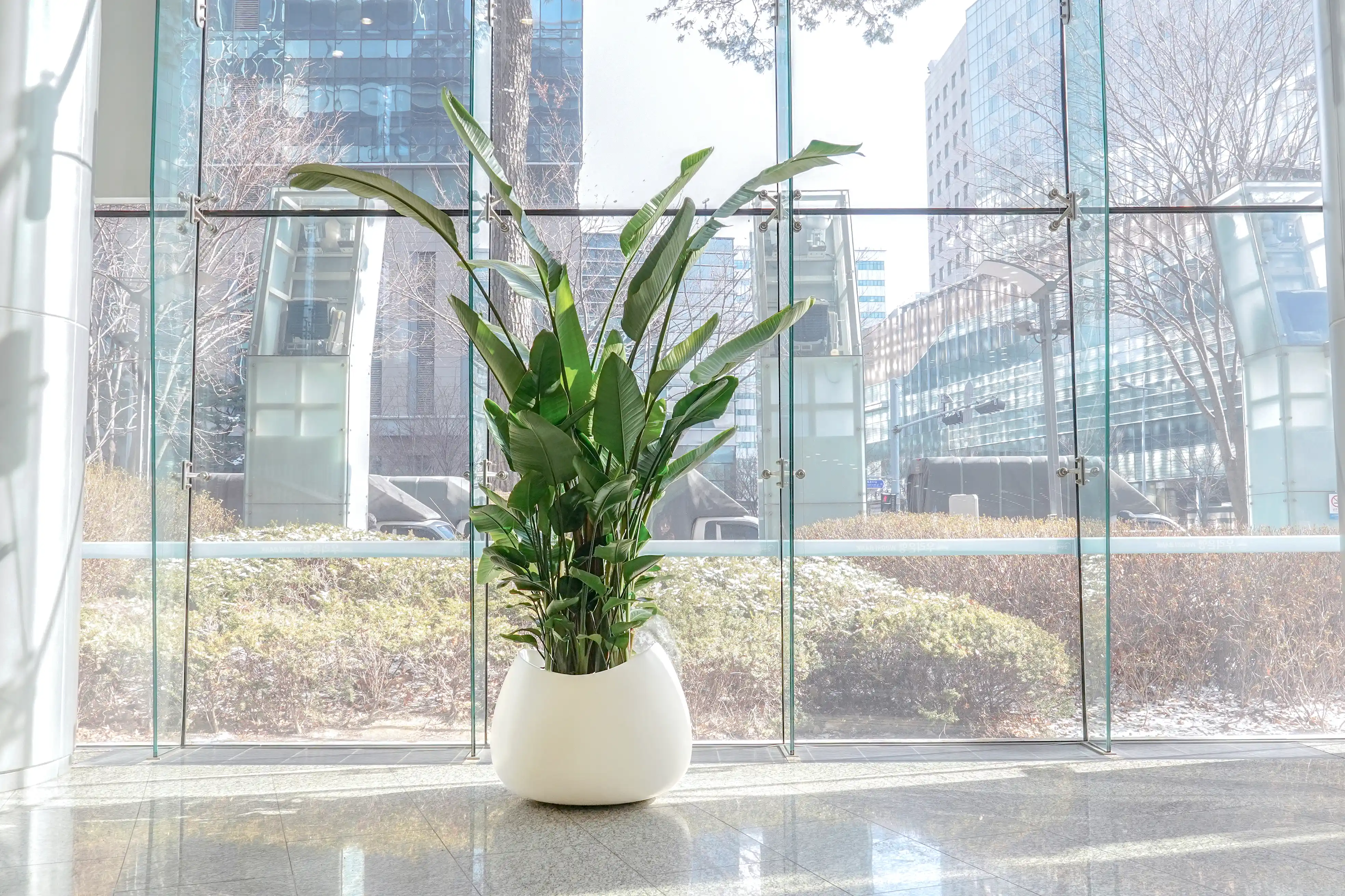 우리은행 회사에 조성된 로비 실내조경