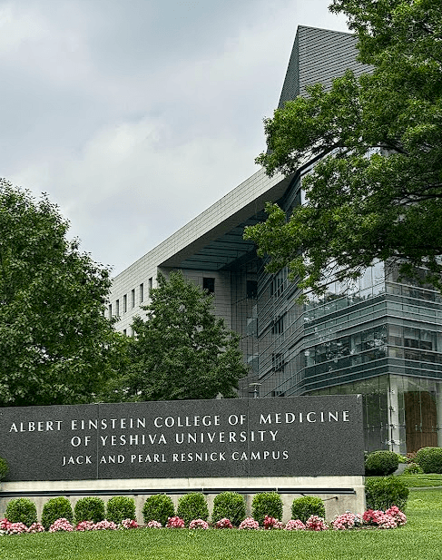 Albert Einstein College of Medicine campus building