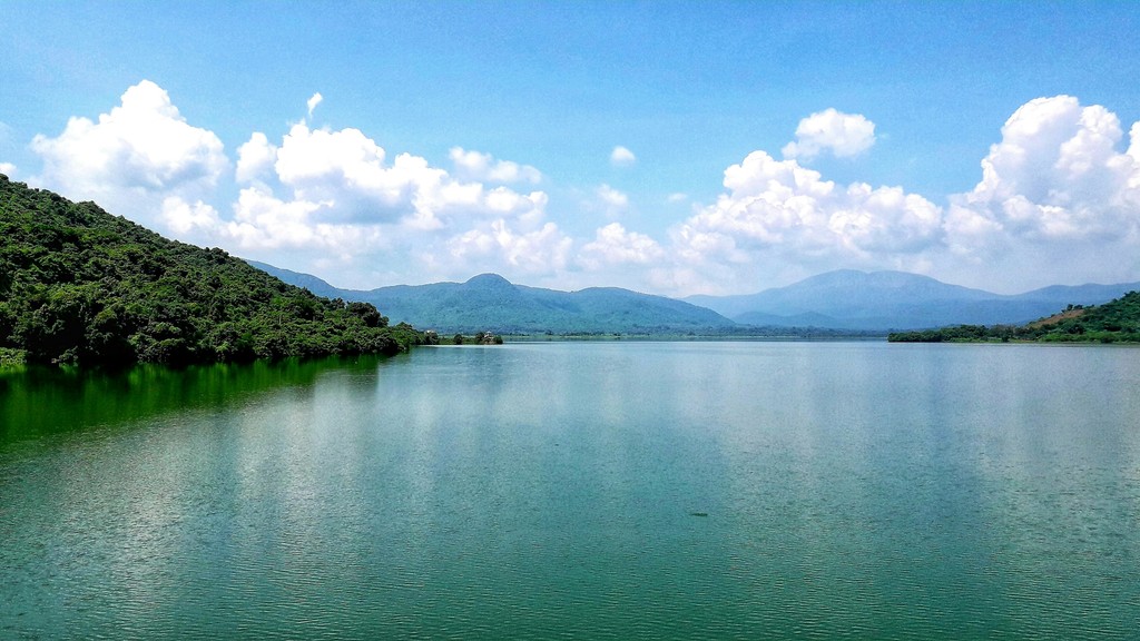 green trees beside body of water under blue sky during daytime