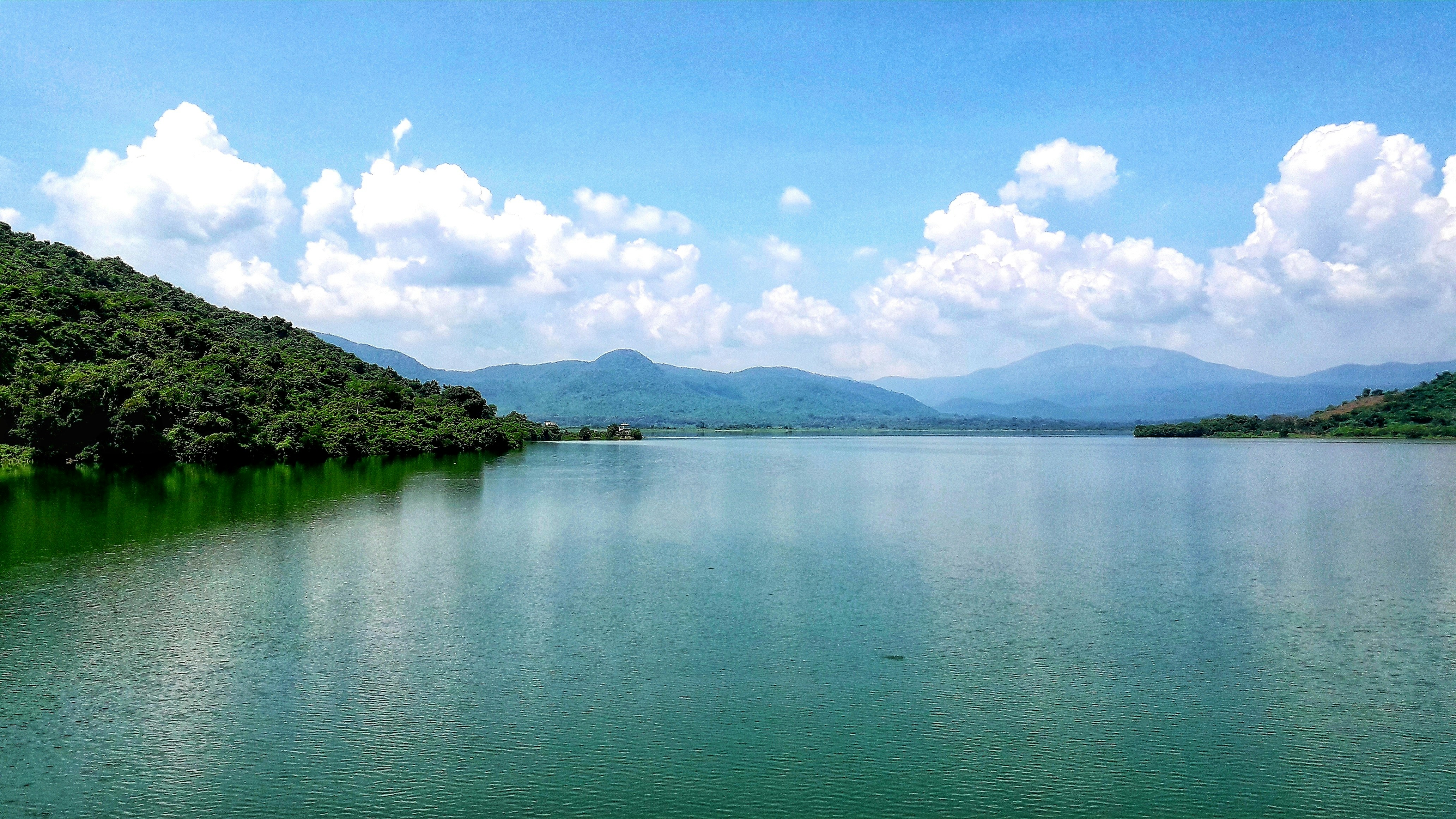 green trees beside body of water under blue sky during daytime