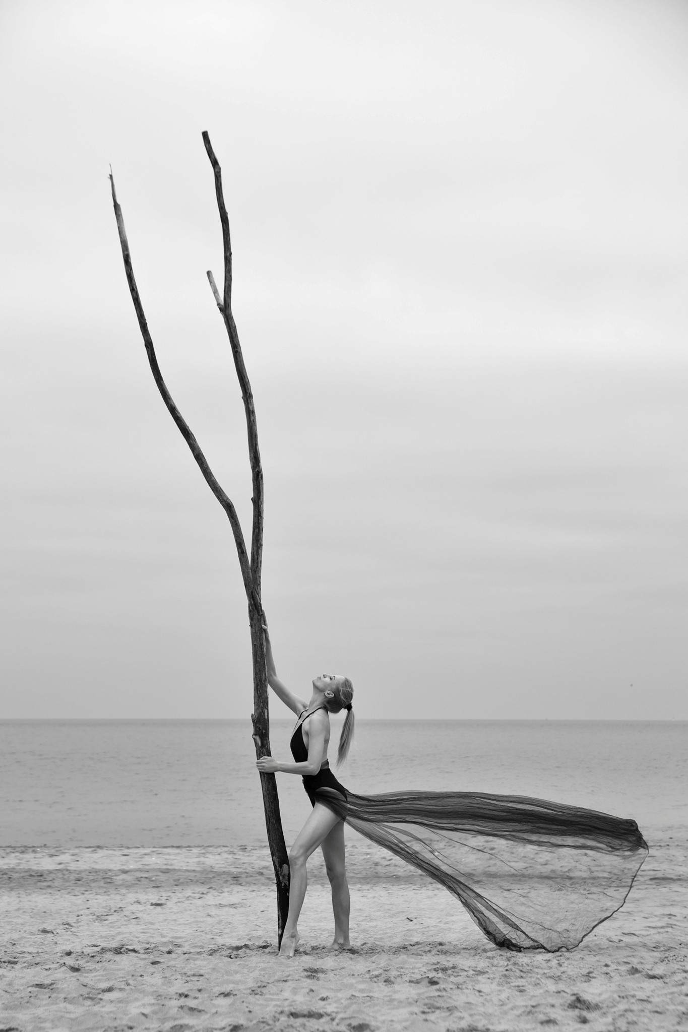 Woman holding a branch, winter Baltic Sea, artistic photography - Stone and Skin - Agnieszka Czyzkowska Photography