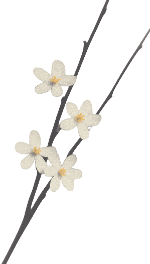 Counter-Section-Image