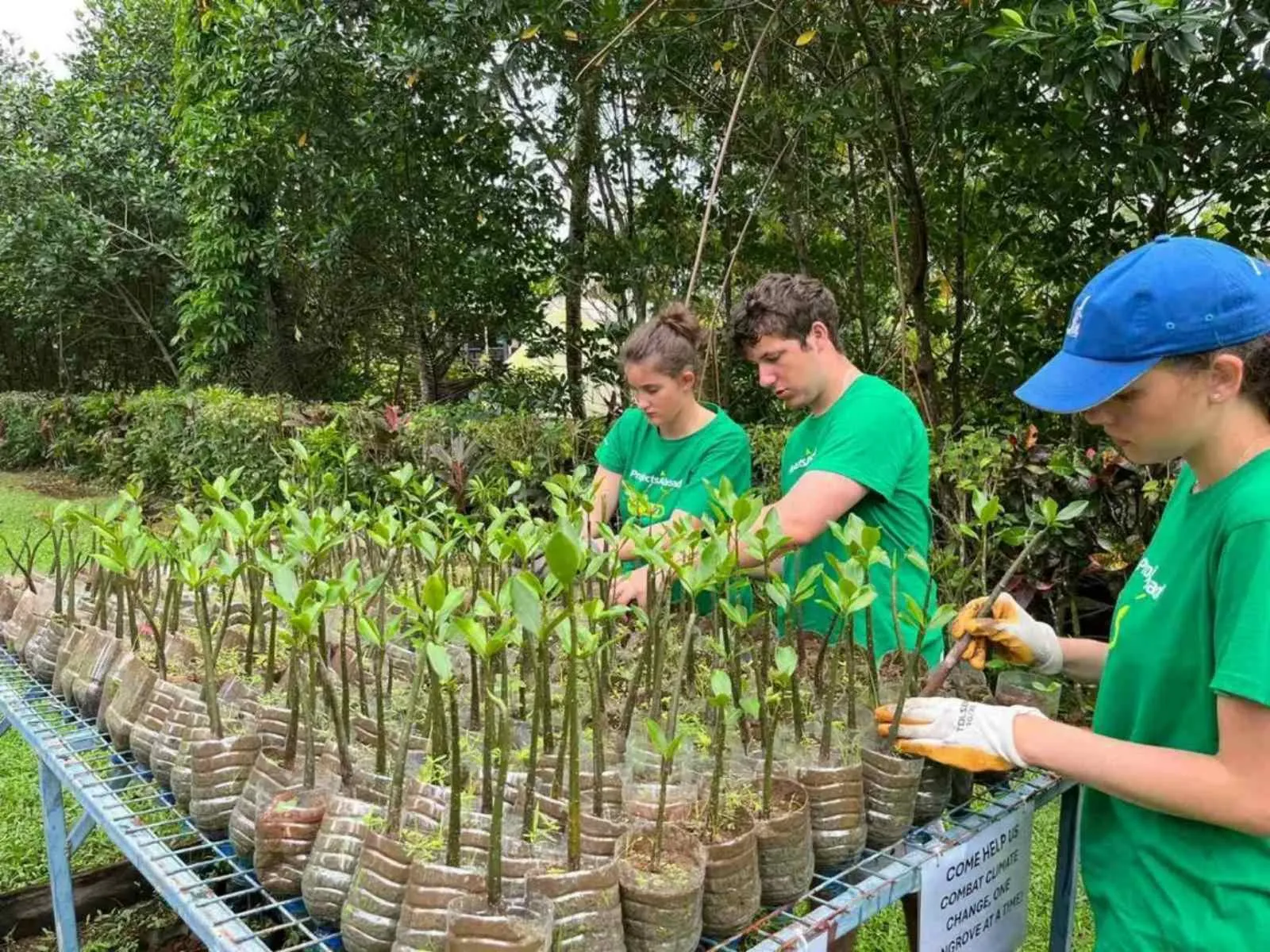 Young people potting plants for mangrove planting initiative in Fiji