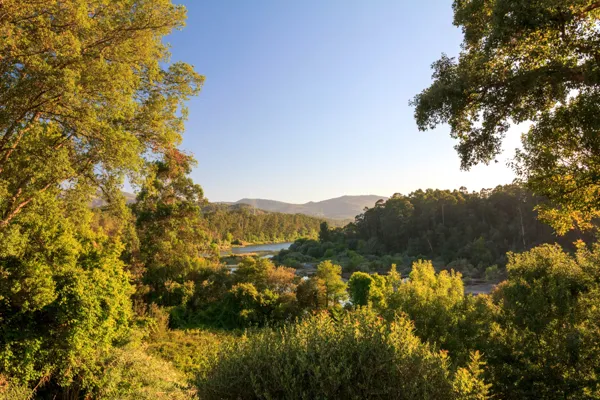 Paisagem do Minho com floresta e rio — tours Vinho Verde e vilas históricas · Táxi Afonso · 06 Caminha