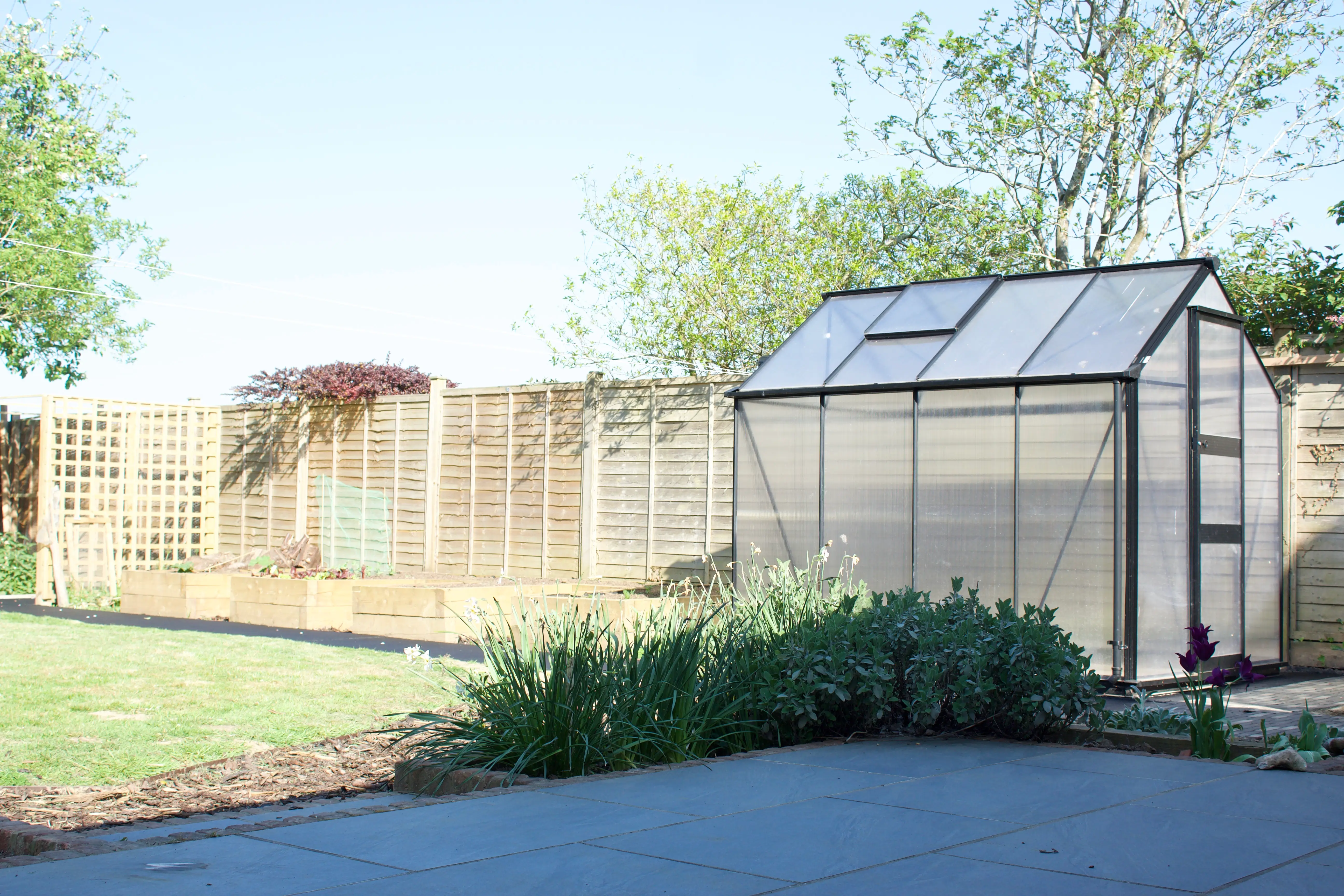 A sunny backyard scene featuring a fence, a small shed, and greenery in the foreground.