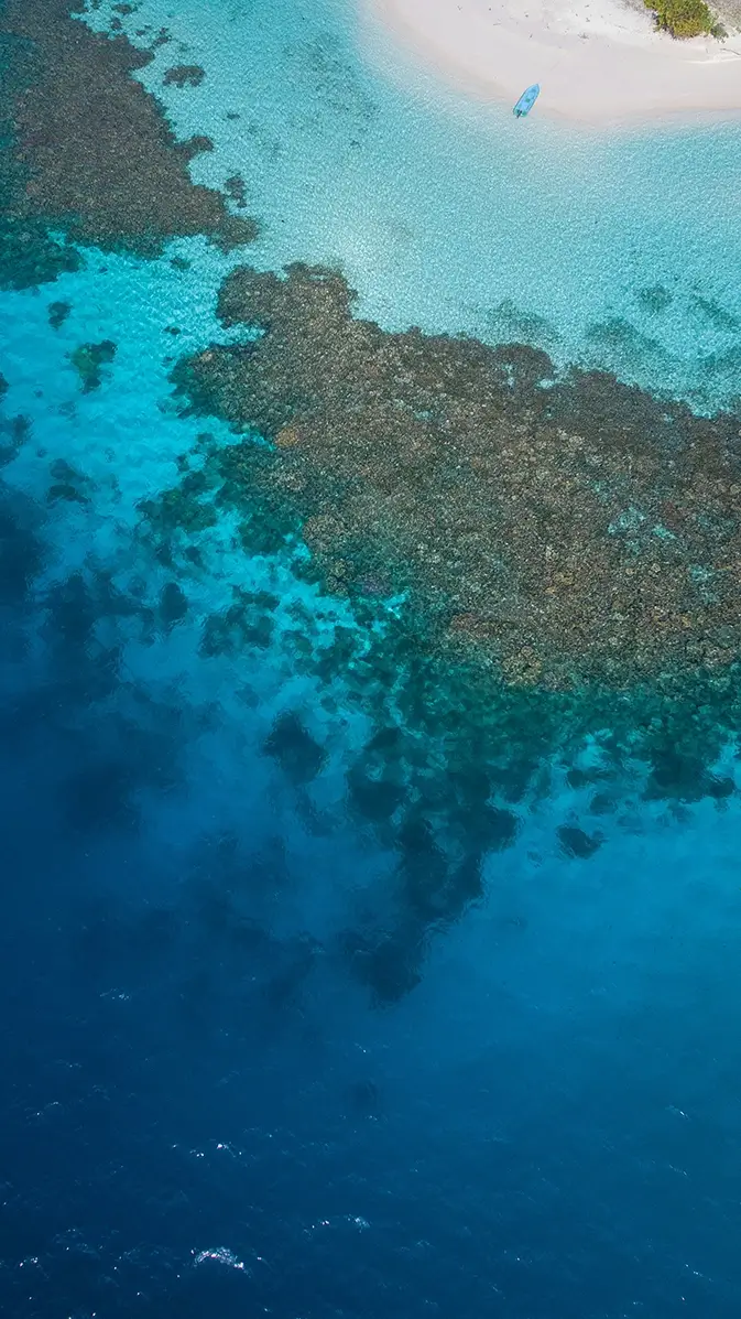 Aerial view of an ocean shoreline
