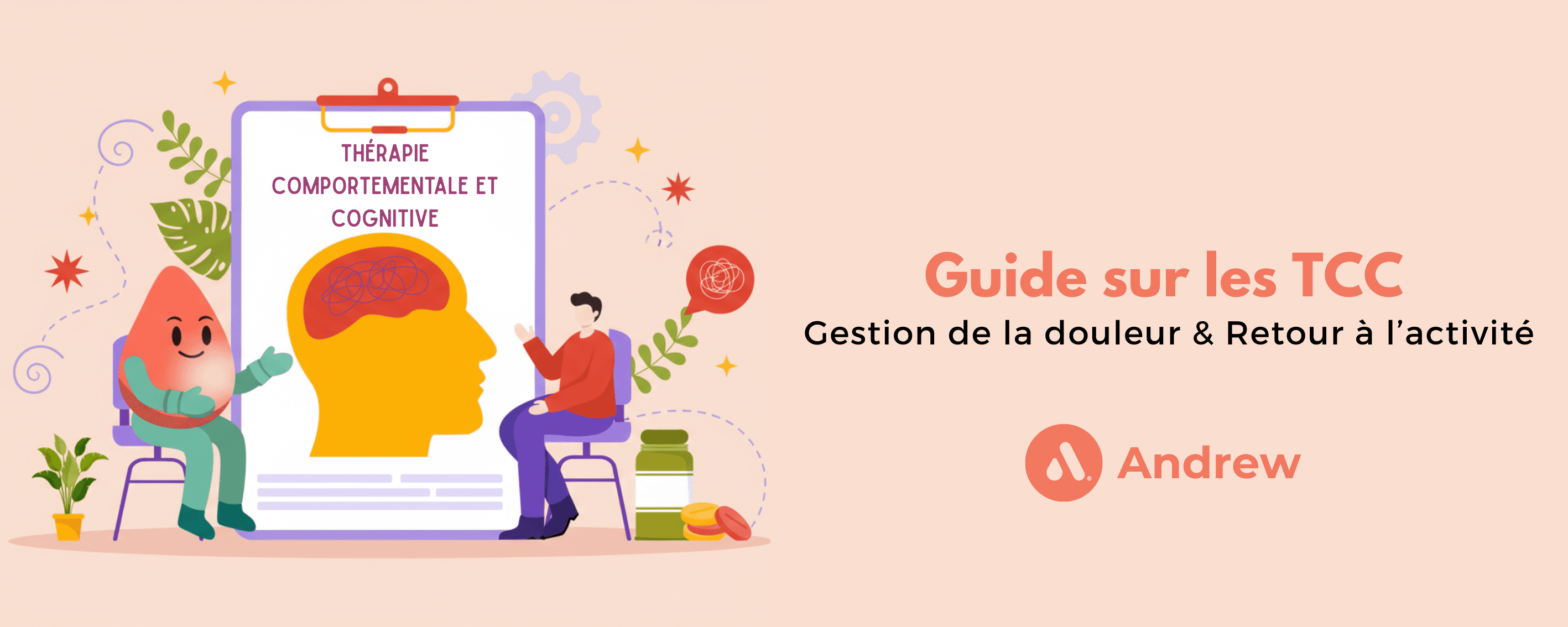 bannière guide sur les tcc