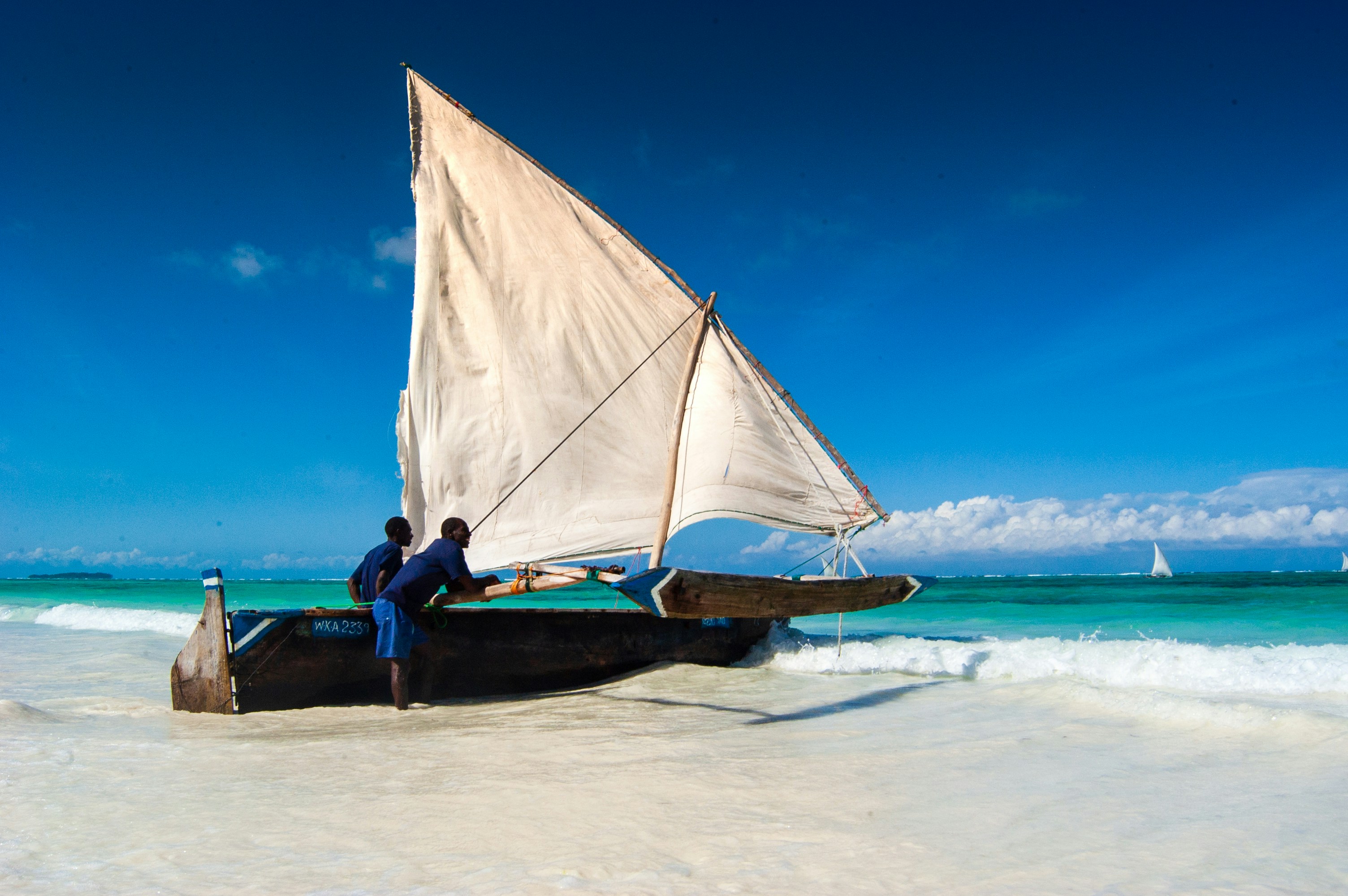 Tanzania Safari and Zanzibar: The Complete East Africa Trip Guide