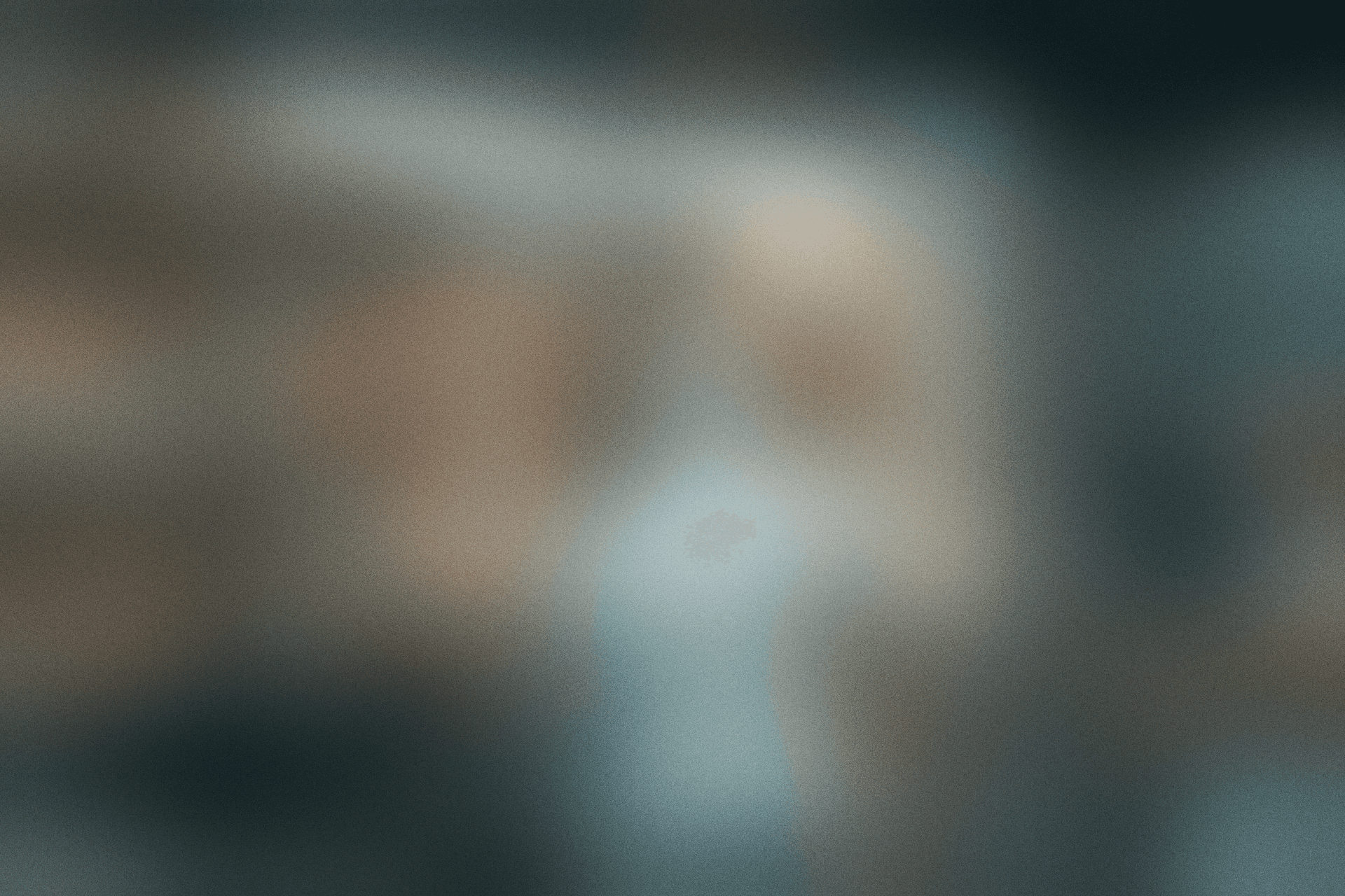 Cactus Image Start