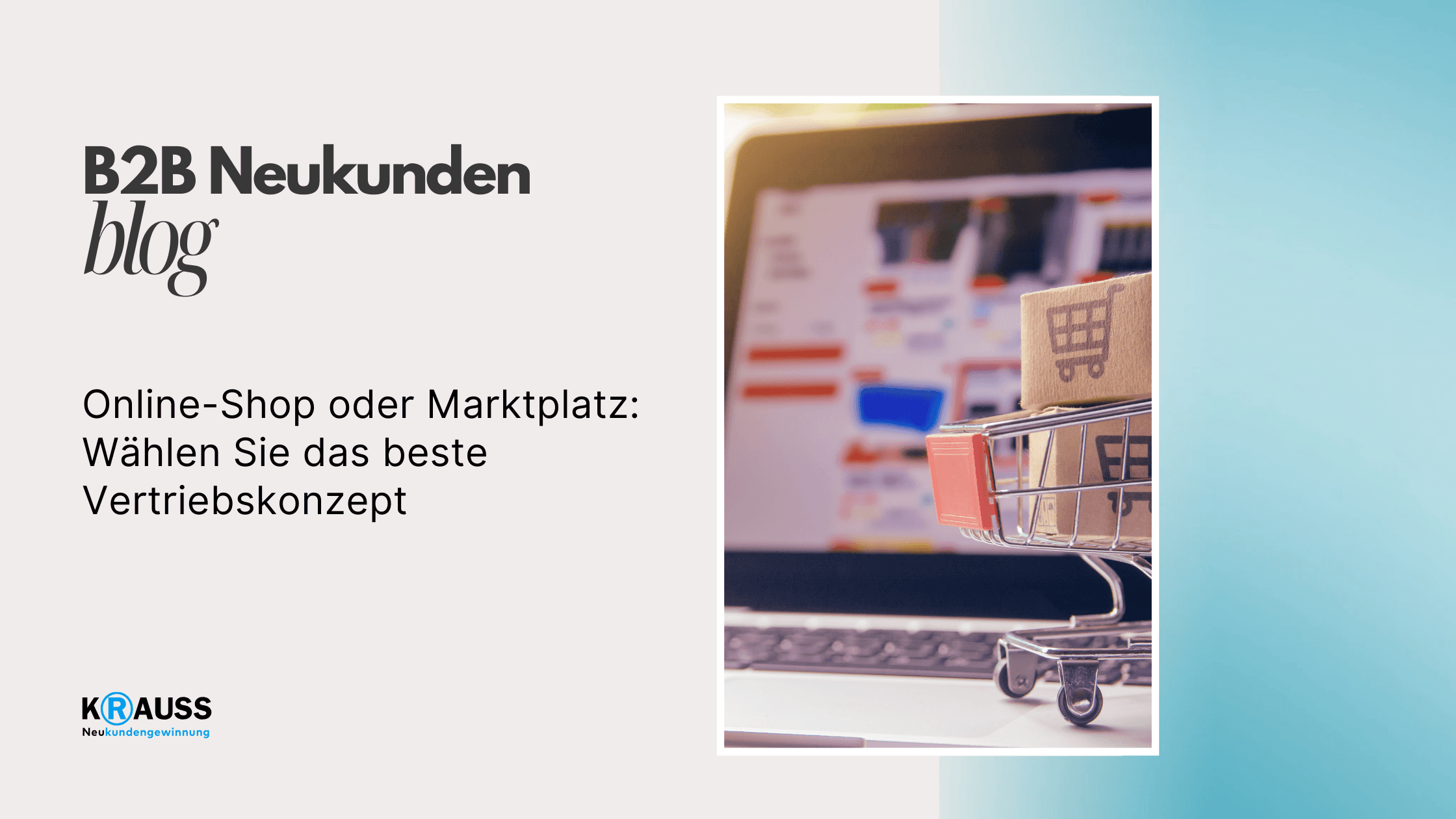 Online-Shop oder Marktplatz: Wählen Sie das beste Vertriebskonzept