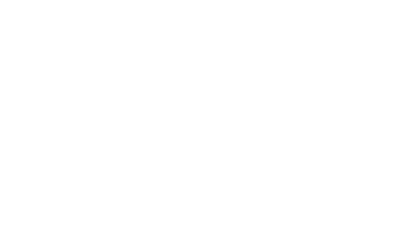 The logo for BX films - in white text