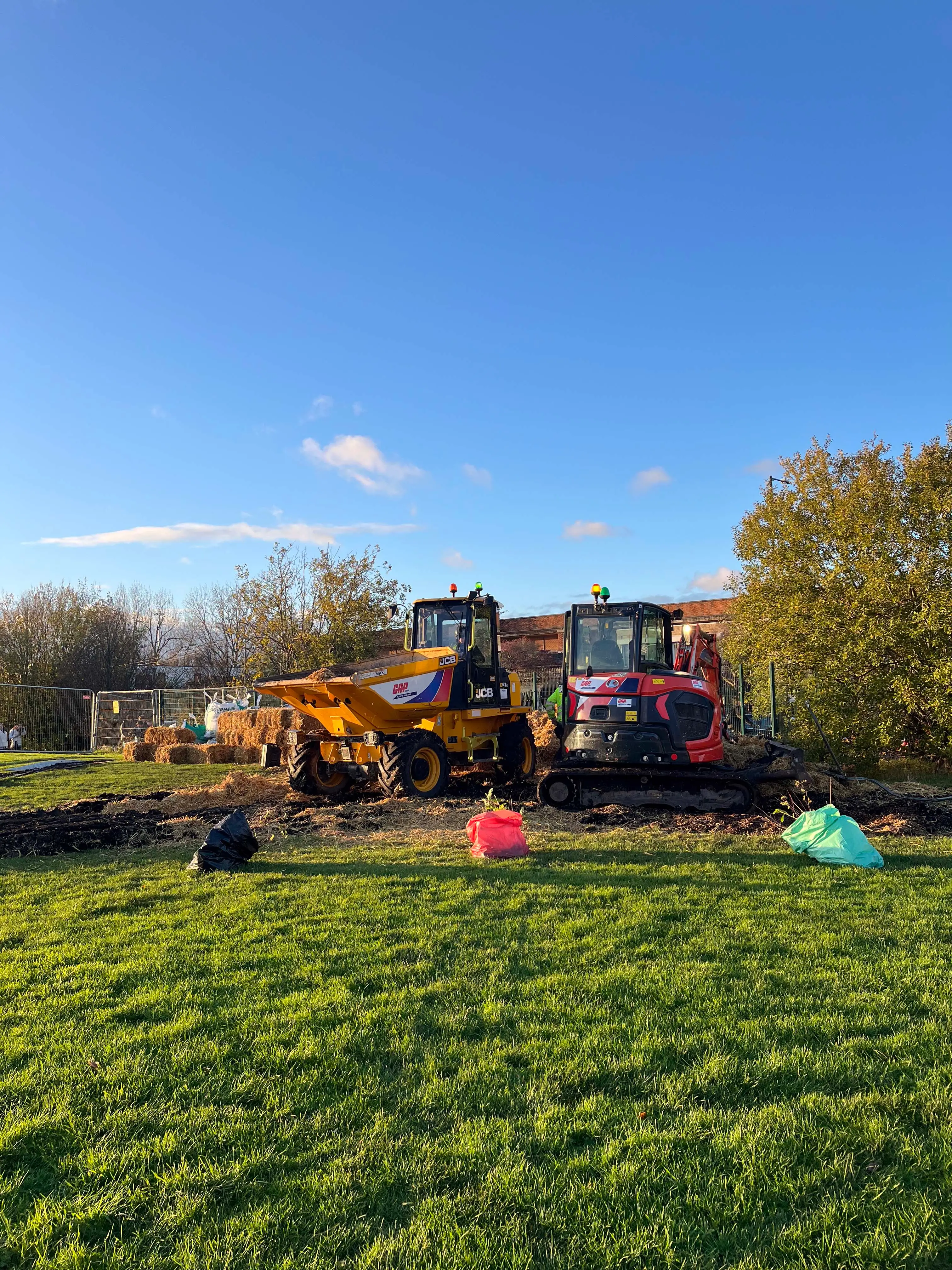 A sunny day in a park with green grass, colorful trees, and a playground in the background under a blue sky.