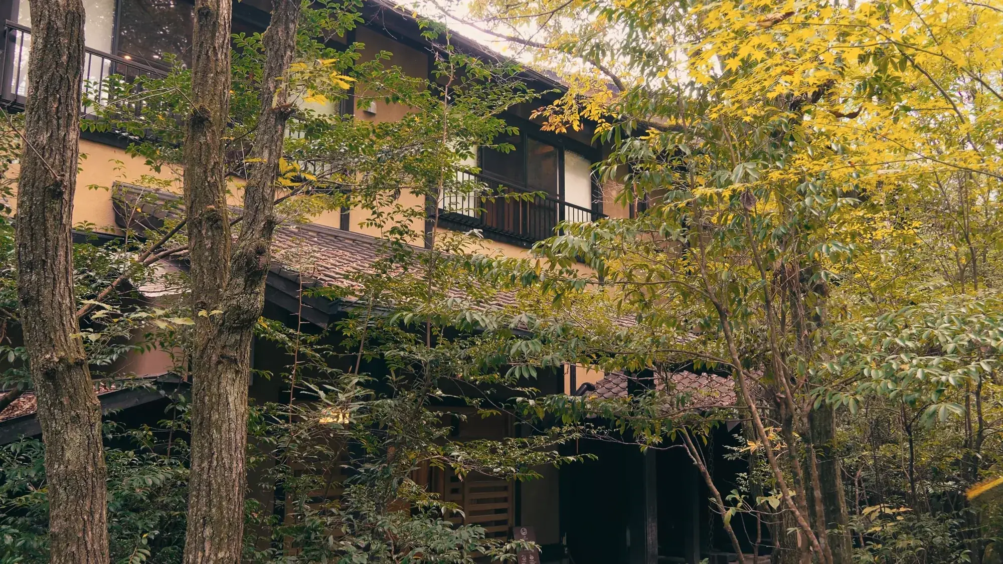 A timber inn at Kurokawa Onsen among yellow autumn trees