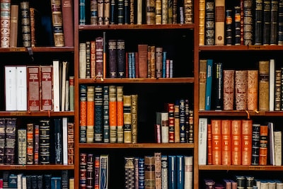 Books on a shelf representing the wealth of knowledge in immigration law.