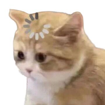Too many choices (the paradox of options) - confused cat