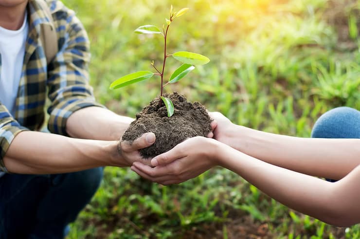 Hände halten jungen Baum mit Erde. Umweltschutz, Nachhaltigkeit.