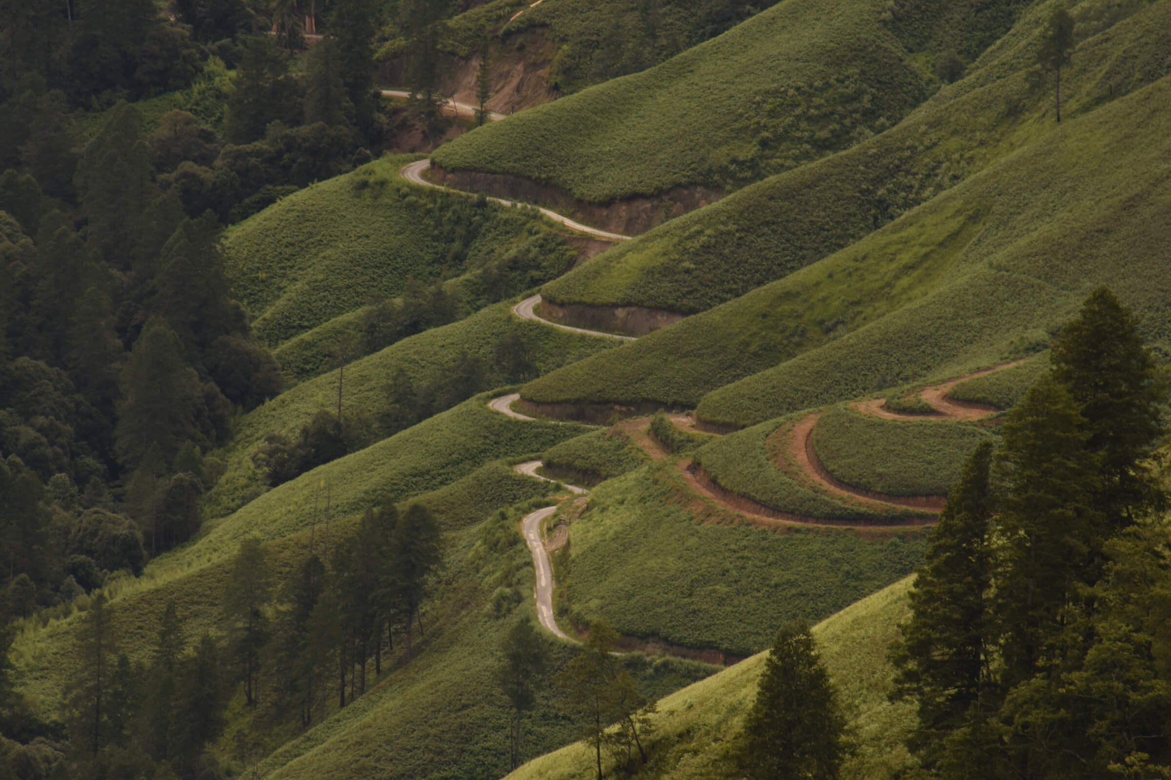 Arunachal Pradesh
